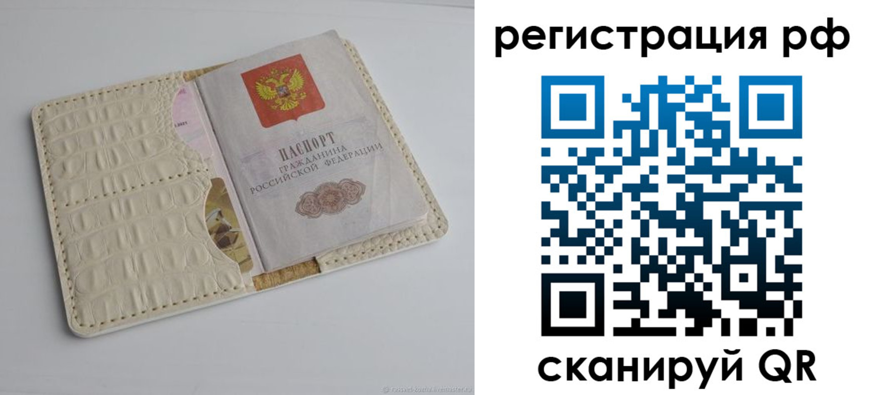 где прописаться в Камышине